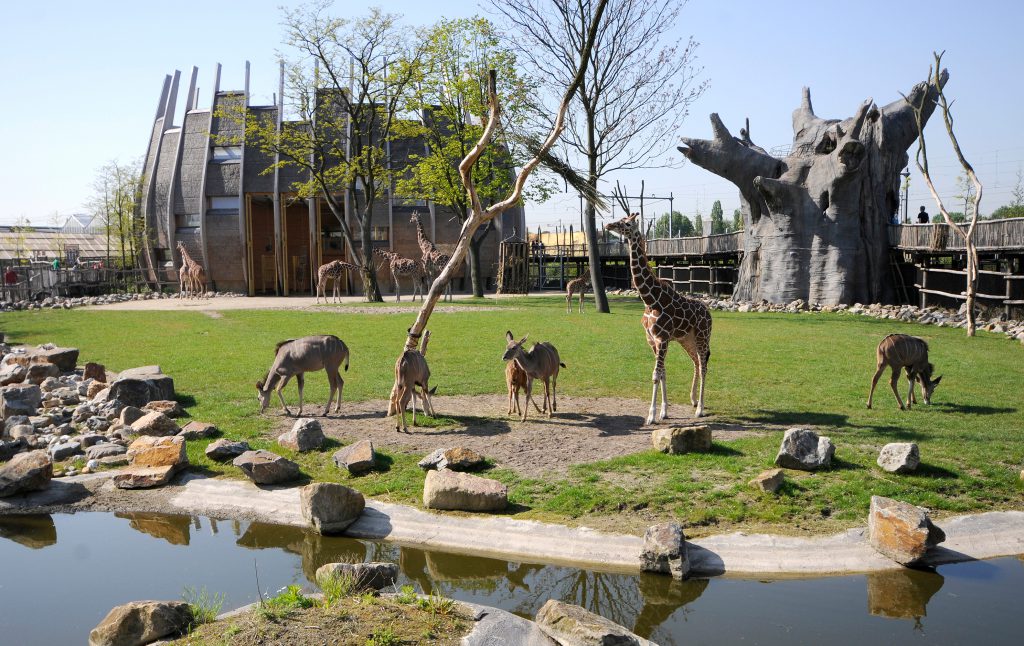 family day trip to the netherlands