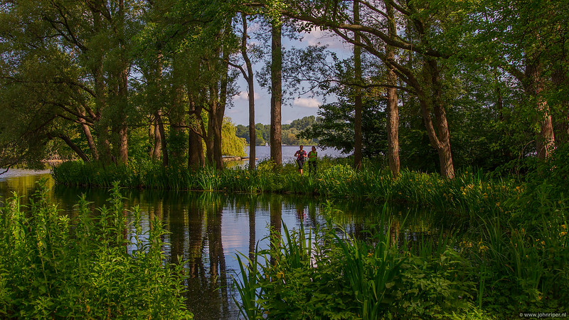 Kralingse Forest Rotterdam