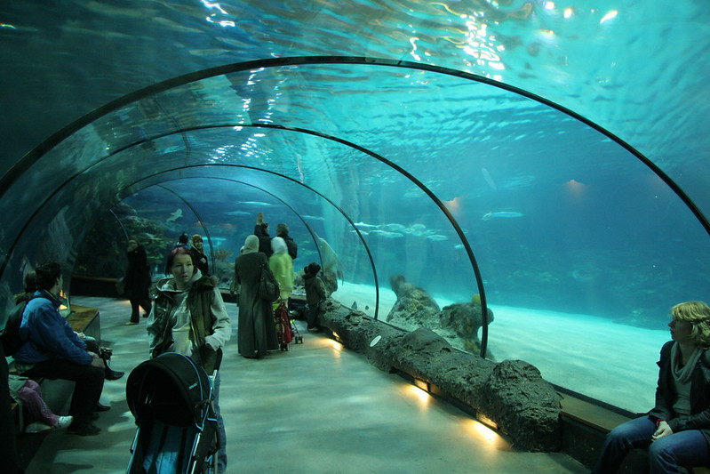 Zoo Blijdorp Rotterdam