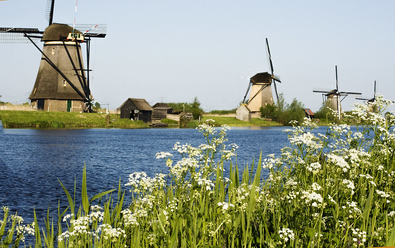 Kinderdijk