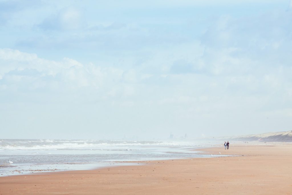 noordwijk-dog-beach